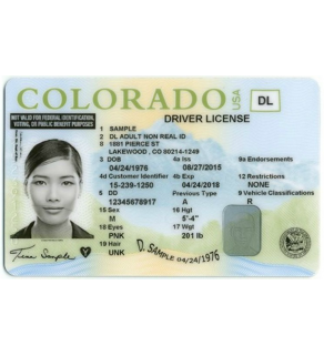 Colorado Driver's License, Novelty